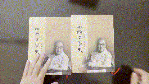 中國文學史 (套书) listing photo 1