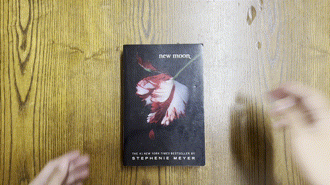 New Moon listing photo 1