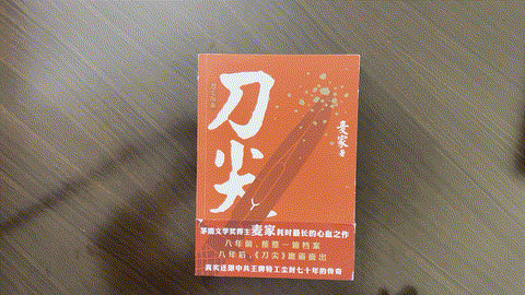 刀尖：刀之阳面 listing photo 1