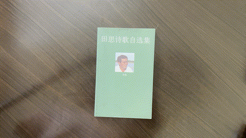 田思诗歌自选集 listing photo 1