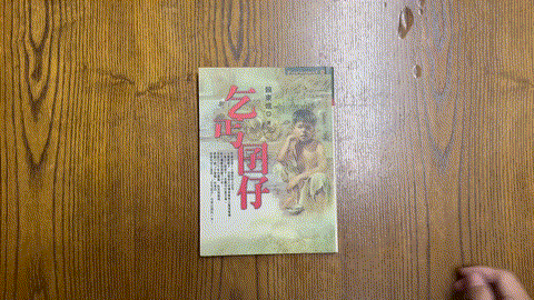 乞丐囝仔 listing photo 1