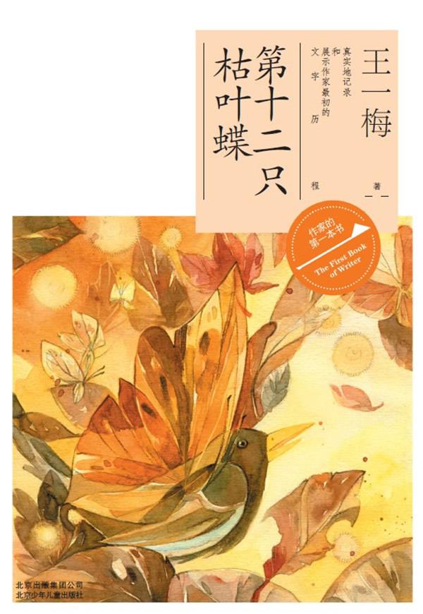 第十二只枯叶蝶 cover