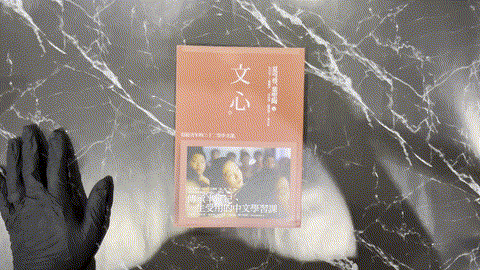 文心：寫給青年的三十二堂中文課 listing photo 1