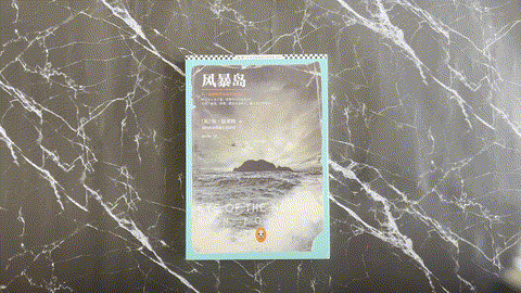 風暴島054 — animated preview