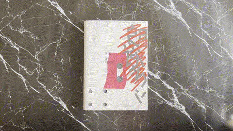 朗读者 — animated preview