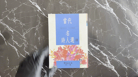 當代名詩人選II listing photo 1