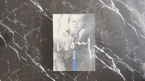 游川诗全集 listing photo 1