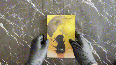 Tender Is the Night listing photo 1