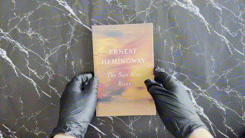 The Sun Also Rises listing photo 1