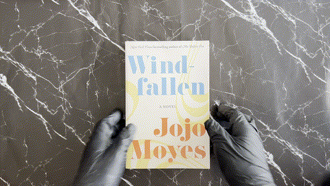 Windfallen listing photo 1