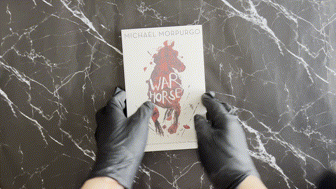 War Horse (War Horse, #1) listing photo 1