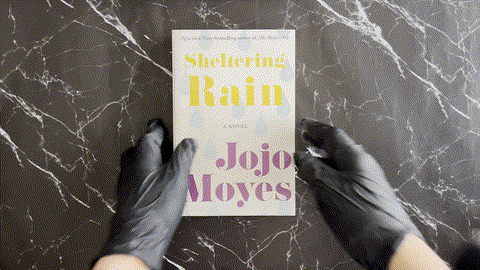 Sheltering Rain listing photo 1