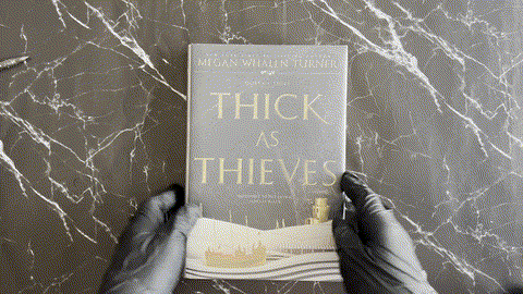 Thick as Thieves (The Queen's Thief, #5) listing photo 1