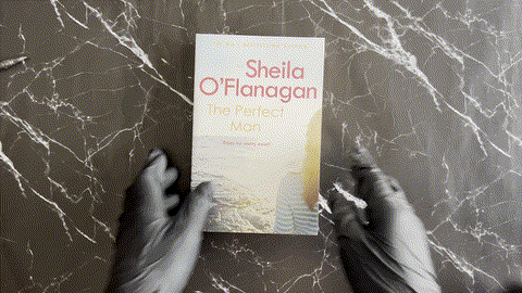 The Perfect Man listing photo 1