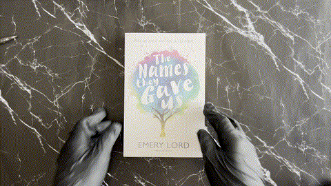 The Names They Gave Us listing photo 1