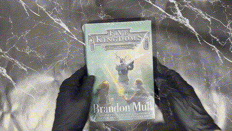 Rogue Knight (Five Kingdoms, #2) listing photo 1