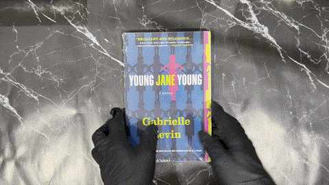 Young Jane Young listing photo 1