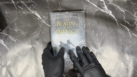 The Beating of His Wings (The Left Hand of God, #3) listing photo 1