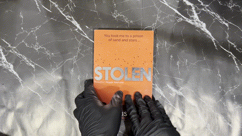 Stolen listing photo 1