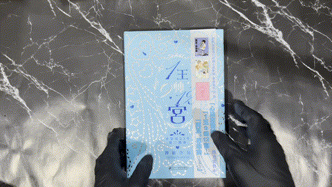 1王9帥12宮 2 — animated preview