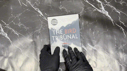 The Bird Tribunal listing photo 1