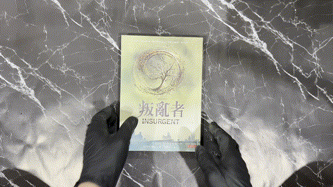 分歧者（2）：叛亂者 listing photo 1