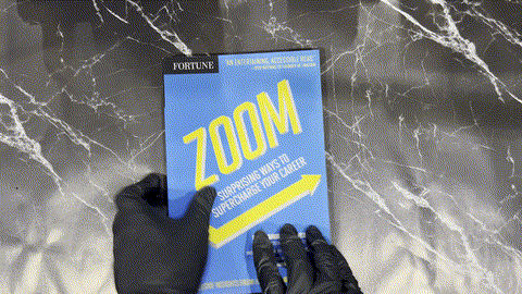 Fortune Zoom! listing photo 1