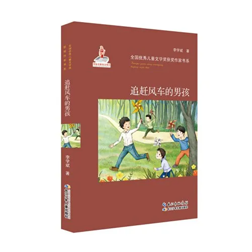 追赶风车的男孩 cover