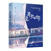 去见年少的你