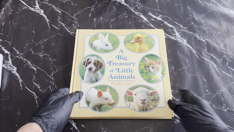 A Big Treasury of Little Animals listing photo 1