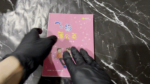 飞扬蒲公英 — animated preview