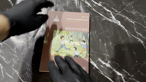 追赶风车的男孩 — animated preview