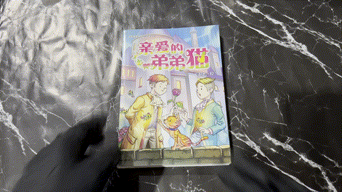 亲爱的弟弟猫 listing photo 1