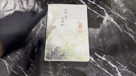 微微一笑很倾城 listing photo 1