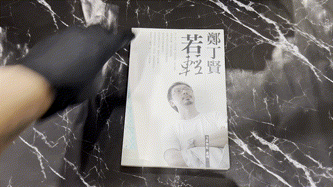 若轻: 郑丁贤作品集 listing photo 1