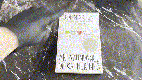 An Abundance of Katherines listing photo 1