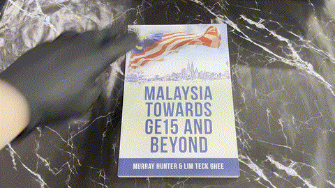 Malaysia Towards GE15 and Beyond listing photo 1