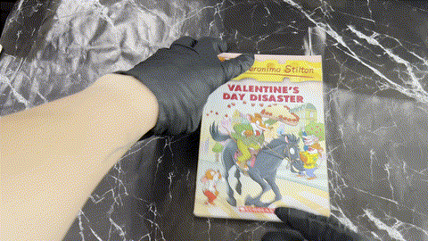 Geronimo Stilton: Valentine's Day Disaster listing photo 1
