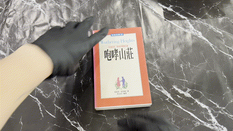 咆哮山莊 listing photo 1