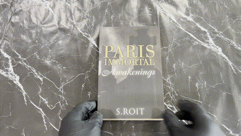 Paris Immortal: Awakenings listing photo 1