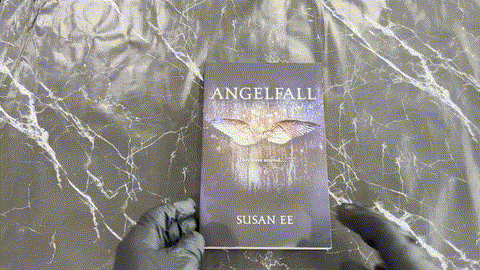 Angelfall listing photo 1