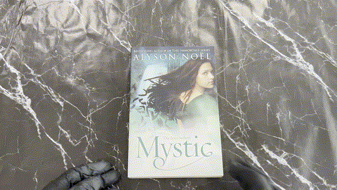 Mystic listing photo 1