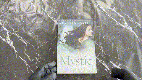 Mystic listing photo 1