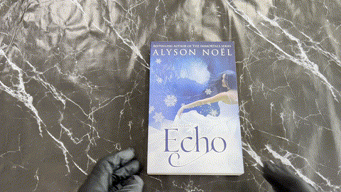 Echo listing photo 1