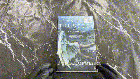 Angelopolis: A Novel listing photo 1