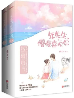 年先生，慢慢喜欢你（全2册）