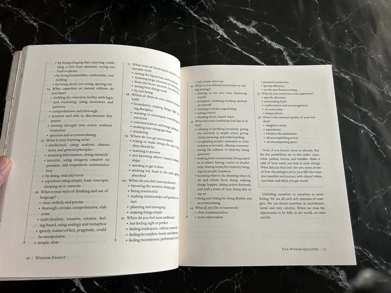 Natural Brilliance: A Buddhist System for Uncovering Your Strengths and Letting Them Shine listing photo 2