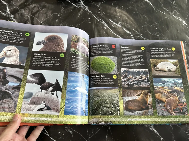 Amazing Australia listing photo 2