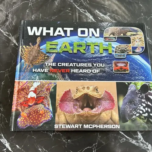 What on Earth? listing photo 1