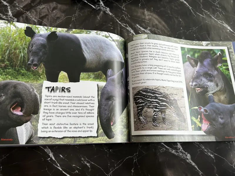 What on Earth? listing photo 2